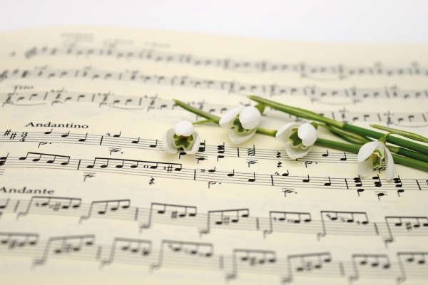 Plantes sur papier à musique