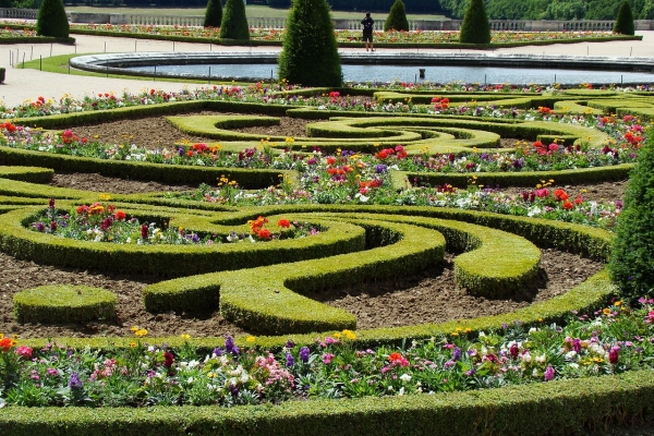 Versailles jardin fleuri