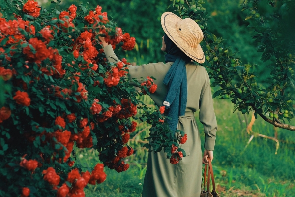 fleurs massif 3