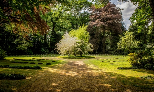 Lire un jardin